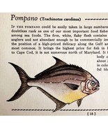 Pompano 1939 Salt Water Fish Gordon Ertz Color Plate Print Antique PCBG19 - £22.37 GBP