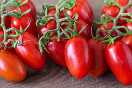 10+ Roma Tomato Seeds -------------- Heirloom ----- Organic ------------ Non Gmo - $2.62