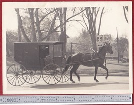 Ohio Amish Couple in Horse Carriage Antique 5x7 Photo (Route 88 &amp; 168 Si... - $12.25