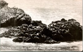 RPPC  Seal Rocks - San Francisco California - Unused UNP Postcard - £3.65 GBP