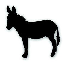 H DONKEY or jackass mule decal for your tack box truck or horse trailer WHITE - £7.86 GBP