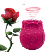 10 Speed Portable Rose Flower Toys for Women, Rose Toy Perfect Anniversa... - $18.90