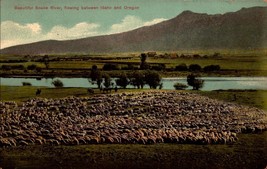 Vintage Postcard Beautiful Snake River, Between Oregon &amp;  Idaho BK46 - £2.32 GBP