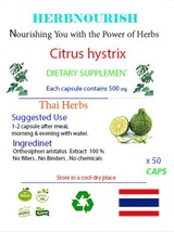 Citrus Hystrix: Kaffir Lime – Aromatic Herb with Powerful Health Benefits - $184.14 MXN