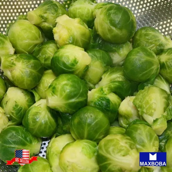 Non-Gmo 300+ Brussels Sprouts Seeds - Catskill Heirloom Garden - £4.70 GBP