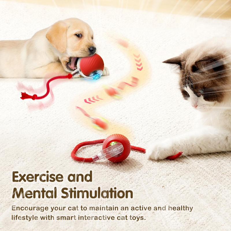 Interactive Rolling Cat Dog Ball Toy, 2025 New Automatic Interactive Cat Toys Se Item image 3