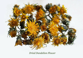 Dried Dandelion Flower - Taraxacum officinale - Dried Tea Herb 2023 Harvest 1 oz - £10.35 GBP