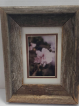 Thee Olde Barnyard Oklahoma City barn wood white flower pink center framed print - £9.12 GBP