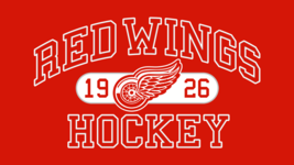 Detroit Red Wings 1926 NHL Mens Embroidered Polo Shirt XS-6XL, LT-4XLT New - £22.41 GBP+
