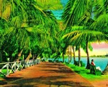Palm Shaded Walk Bayfront Park Miami Florida FL Linen Postcard - $3.91