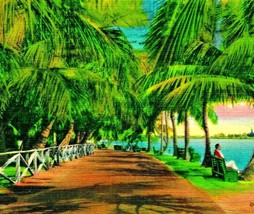 Palm Shaded Walk Bayfront Park Miami Florida FL Linen Postcard - £3.07 GBP