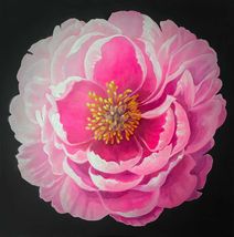 Original oil painting of pink Peony "Forever in Bloom" - $320.00
