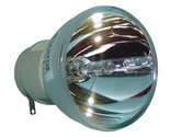 Optoma BL-FP200H Osram Projector Bare Lamp - $62.99