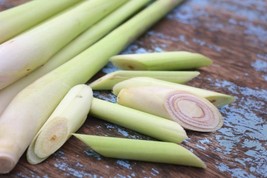 Lemon Grass Herb Edible Lemongrass Kitchen Vegetable, 400 Seeds D - $16.35