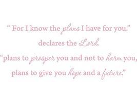 &quot;For I know the plans i have for you,&quot; declares the Lord..... Vinyl Wall... - £10.05 GBP