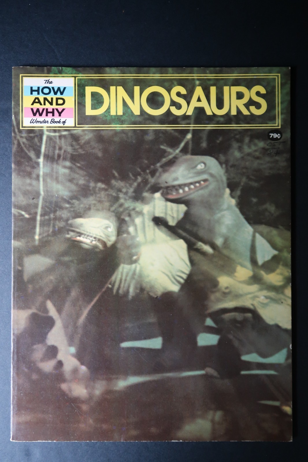 Vtg The How And Why Wonder Book Of Dinosaurs Vintage 1976 Education Home... - $14.99
