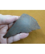 DF303-3) Fossil REAL 3-1/2&quot; DINOSAUR Bone Slice Jurassic Dino love dinos... - £15.33 GBP