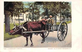 African American Black Children Ox Cart 1905c postcard - £6.25 GBP