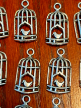 35 pcs 26mm Lead Free Pewter Bird in Cage Charms or Pendants - $7.70