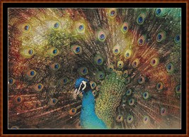 Rainbow Peacock ~~ counted cross stitch pattern PDF - $15.99