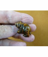 (Y-BEA-550) little 1&quot; brown tan Tiger&#39;s eye Bear walking gemstone FIGURI... - $12.38 CAD