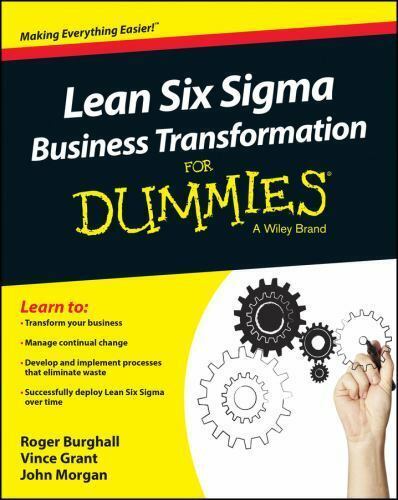 Primary image for Lean Six Sigma Business Transformation For Dummies, Burghall, Roger,Morgan, John