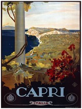 7736.Decoration Poster.Home Room wall interior design.Capri.Italy travel art - $17.10+