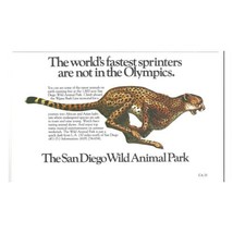 San Diego Wild Animal Park Print Advertisement Vintage 1984 80s Tourism Cheetah - £8.86 GBP