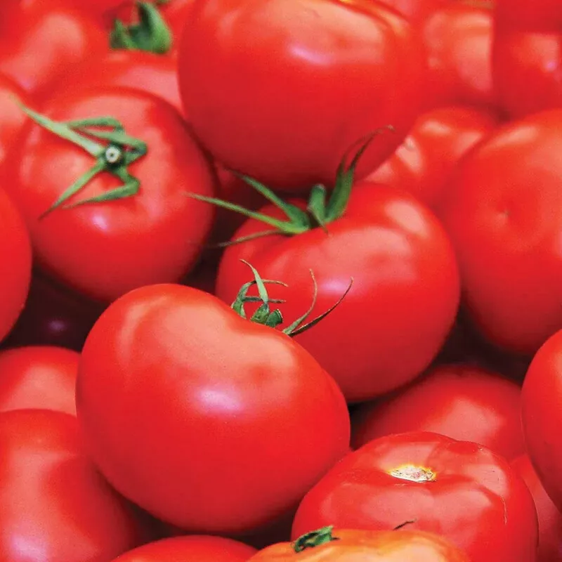 Floradade Tomato 50 Seeds  - $5.41 CAD