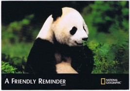 Postcard Panda National Geographic Dentists Reminder Edson Georgetown Ontario - £2.37 GBP