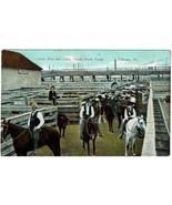 Chicago IL, Union Stock Yards Cattle Run and Pens Cowboys Vintage Postcard - £7.43 GBP