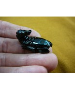 (Y-SCO-214) little SCORPION BLACK ONYX small stone figurine Peru baby sc... - £9.58 GBP