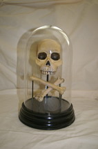 Ghouls’ Gala Skull and Crossbones Halloween Centerpiece 2008 Holiday Décor - $11.00