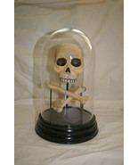 Ghouls’ Gala Skull and Crossbones Halloween Centerpiece 2008 Holiday Décor - $205.25 MXN
