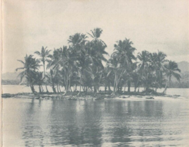 Isla De San Blas-Panama-Typical San Blas Island ~ 1950s Christmas Card-
... - £8.24 GBP