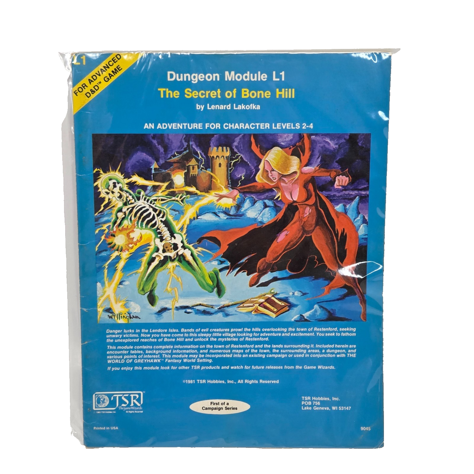 Full-size item image