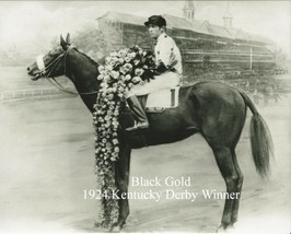 1924 - BLACK GOLD after winning the Kentucky Derby - 10&quot; x 8&quot; #3 - £16.03 GBP