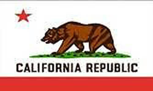 NEW CALIFORNIA STATE FLAGS 3X5 flag banner 3 x 5 gifts - $4.74
