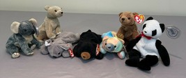 Lot of Ty Beanie Babies Baby Bear Fortune Sammie Cubs Bear Koala Mel Pecan - $21.99