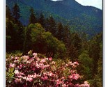 Rhododendron in Bloom Newfound Gap North Carolina NC UNP Chrome Postcard... - $3.91