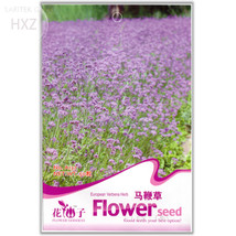 Verbena Blue Vervain Flower Seeds 50 Seeds Swamp Verbena Flowering Plant Beautif - $3.50