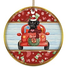 hdhshop24 Funny Black Labrador Dog Ride Car Ornament Gift Pine Tree Deco... - $19.75