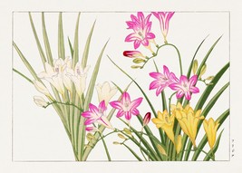 11999.Decor Poster.Room wall.Home floral Oriental design art.Japanese flowers - £13.74 GBP+