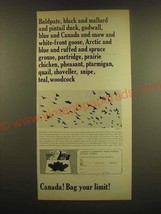 1966 Canada Tourism Ad - Baldpate, black and mallard and pintail duck - £14.54 GBP