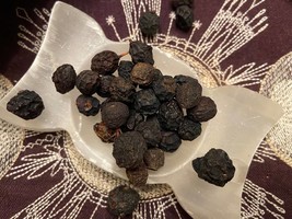 .5 oz Sloe (Blackthorn) Berries, Samhain, Rid of Negative Energy, Purify... - $1.60