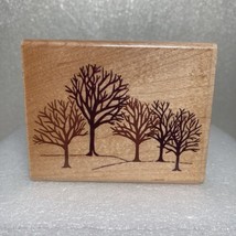 A2430F Winter Woods Rubber Stamp Stampede 4 Trees Bare Branches 3.5&quot; x 2.75&quot; WM - £10.16 GBP