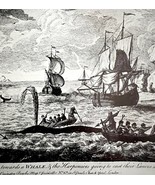Artctic Whaling Dutch Harpooning 1926 Nautical Antique Print Whale Hunti... - $34.17 CAD
