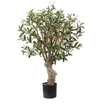 2 Olive Artificial Tree - £133.63 GBP