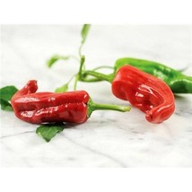 Chimayo Hot Pepper  10 Seeds  Garden Beautiful USA SELLER - £4.32 GBP