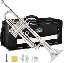 Musical Instruments For Student Beginner Or Experienced Kids, Adults, An... - $232.87